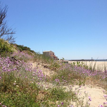 Vias Plage - Maison De Vacances Eksteriør billede